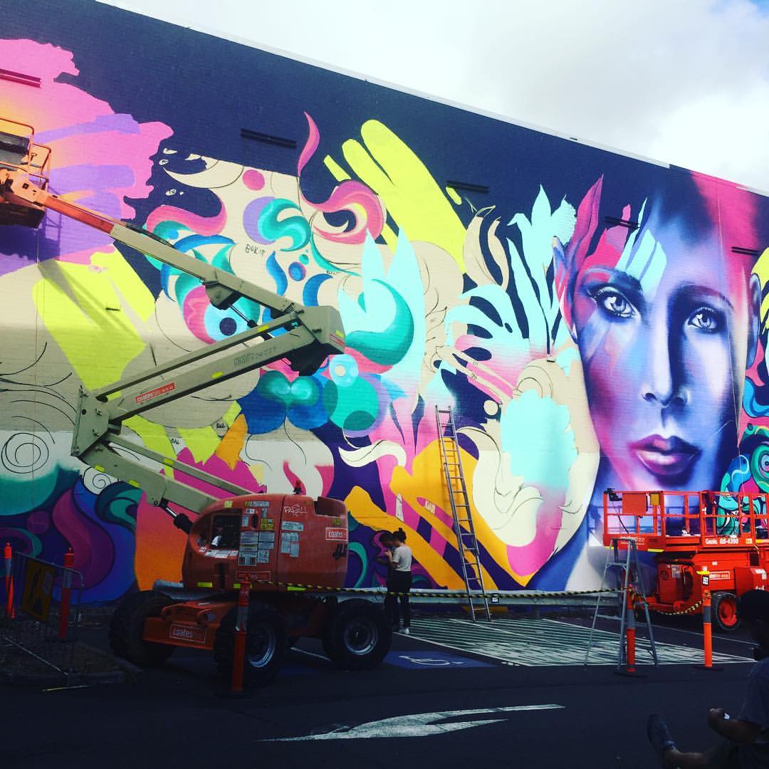 Shannon Crees lives and works in Sydney, Australia. An accomplished international artist, she creates works on canvas and paints large scale murals both locally and internationally. 