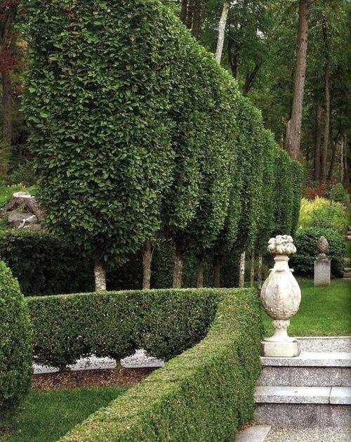 Clever landscaping can shield your house in summer.